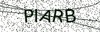 L’image captcha